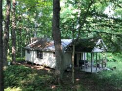 2458 Deerheart Road Osceola, NY 13316