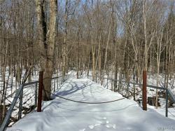 0 Hayes Hollow Road Colden, NY 14033