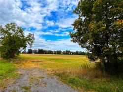 Lot 2 Woodruff Road Rush, NY 14543