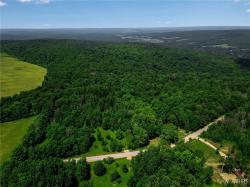 00 Snake Run Road East Otto, NY 14729