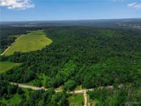 00 Snake Run Road East Otto, NY 14729