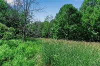 00 Snake Run Road East Otto, NY 14729