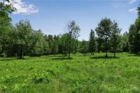 00 Snake Run Road East Otto, NY 14729