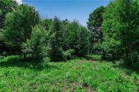 00 Snake Run Road East Otto, NY 14729