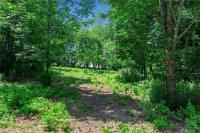 00 Snake Run Road East Otto, NY 14729