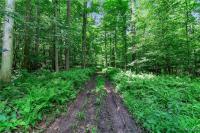 00 Snake Run Road East Otto, NY 14729