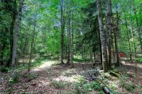 00 Snake Run Road East Otto, NY 14729