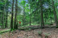 00 Snake Run Road East Otto, NY 14729