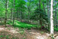 00 Snake Run Road East Otto, NY 14729