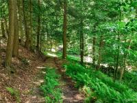 00 Snake Run Road East Otto, NY 14729