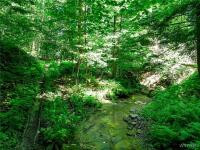 00 Snake Run Road East Otto, NY 14729
