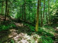 00 Snake Run Road East Otto, NY 14729