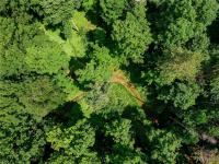 00 Snake Run Road East Otto, NY 14729