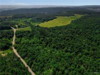 00 Snake Run Road East Otto, NY 14729