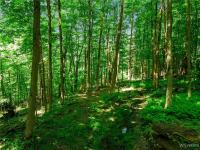 00 Snake Run Road East Otto, NY 14729