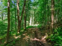 00 Snake Run Road East Otto, NY 14729