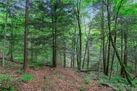 00 Snake Run Road East Otto, NY 14729