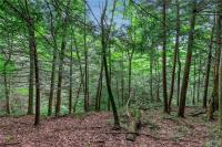 00 Snake Run Road East Otto, NY 14729