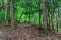 00 Snake Run Road East Otto, NY 14729