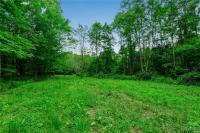00 Snake Run Road East Otto, NY 14729
