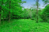 00 Snake Run Road East Otto, NY 14729
