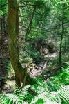 00 Snake Run Road East Otto, NY 14729
