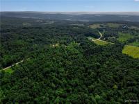 00 Snake Run Road East Otto, NY 14729