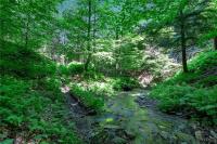 00 Snake Run Road East Otto, NY 14729