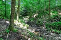 00 Snake Run Road East Otto, NY 14729