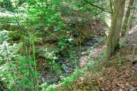 00 Snake Run Road East Otto, NY 14729
