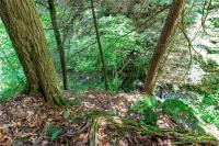 00 Snake Run Road East Otto, NY 14729