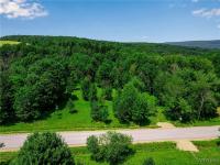 00 Snake Run Road East Otto, NY 14729