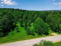 00 Snake Run Road East Otto, NY 14729