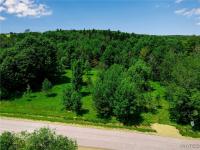 00 Snake Run Road East Otto, NY 14729