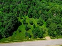 00 Snake Run Road East Otto, NY 14729