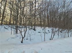 Dublin Terrace Road Mansfield, NY 14779