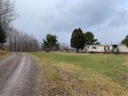 110 Mountain View Road Harpersfield, NY 13786