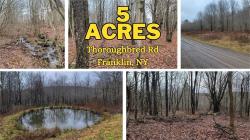 Lot 29 Thoroughbred Road Franklin, NY 13775
