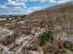 6020 Nys Rte 242 Lot #5 Ellicottville, NY 14731