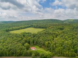 1121 Kiff Brook Road Kortright, NY 13739