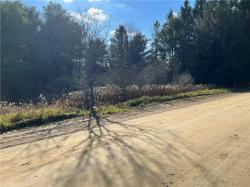 Lot 11 Holdridge Road Allen, NY 14709