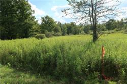 Lot 4 German Road Willet, NY 13863