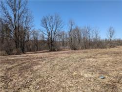 Lot 3 Domser Road Boonville, NY 13309