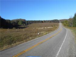 4738 Roszyk Hill Lot #2 Road Machias, NY 14101