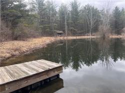 0 Welty Road Lindley, NY 14858
