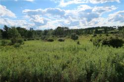 Lot 3 German Road Willet, NY 13863