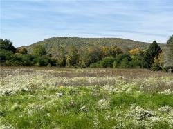 Chambers Road Big Flats, NY 14845