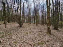 11 Trail Heights Ellicottville, NY 14731