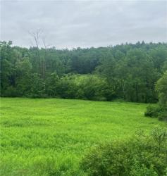 00 Oregon Road Butternuts, NY 13776