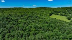 Lower Ravine Road Norwich, NY 13815